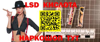 молекула духа Будённовск