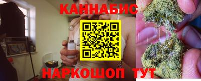 молекула духа Будённовск