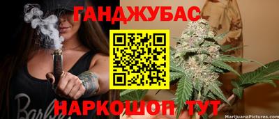 молекула духа Будённовск
