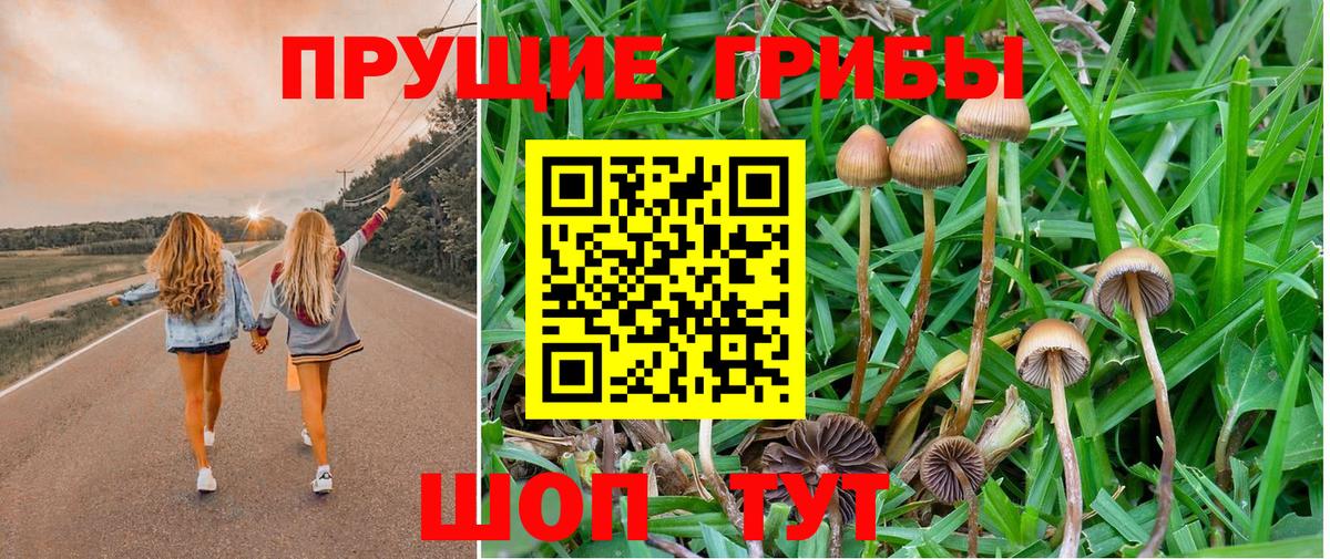 Малоярославец  где купить наркоту  Вход с VPN  Галлюциногенные грибы прущие грибы 