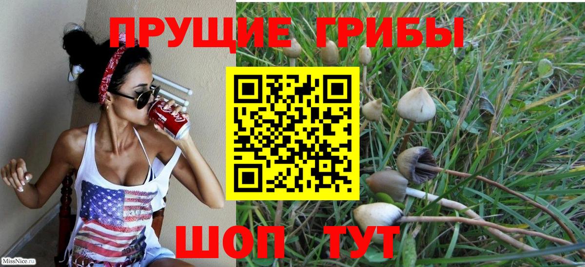 Псилоцибиновые грибы мицелий Малоярославец